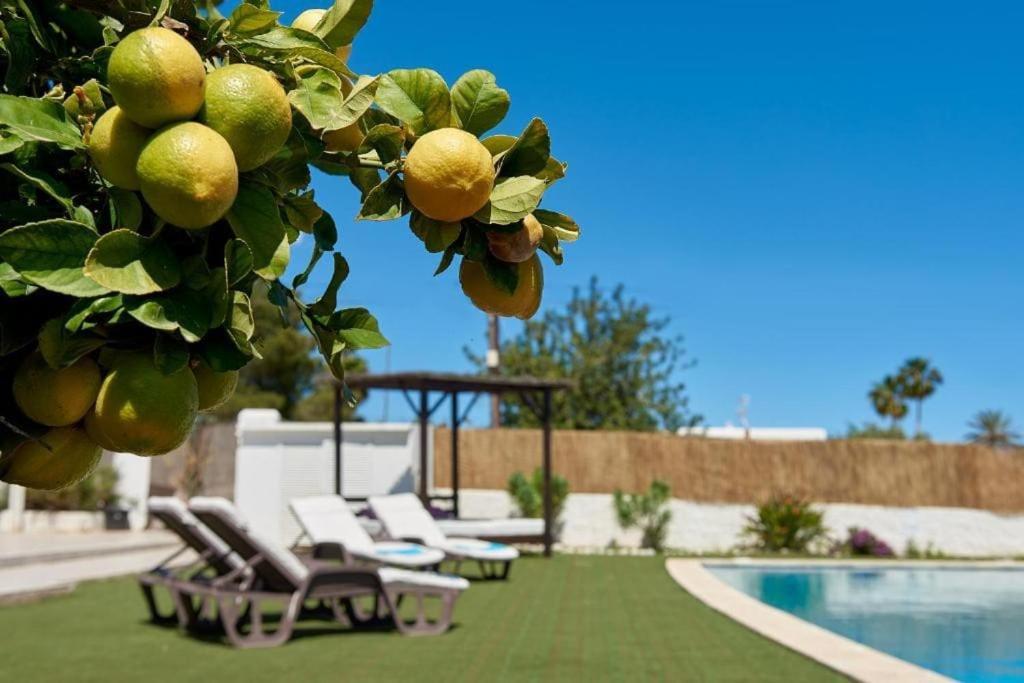 The Lovely Villa Ibiza المظهر الخارجي الصورة